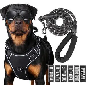 3-in-1 Dog Vest Harness Leash Set for Daily,Service,Training Animal Large 3-in-1 Dog Vest Harness Leash Set for Daily,Service,Training Animal Large