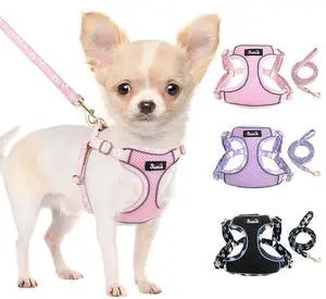 Small Dog Harness and Leash Set, No Pull & Lightweight, Pink, XXS Small Dog Harness and Leash Set, No Pull & Lightweight, Pink, XXS