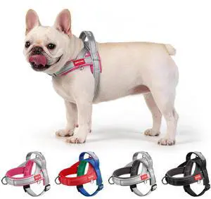 No Pull Dog Harness with 3 Clips and Soft Padded Handle (Pink, S) No Pull Dog Harness with 3 Clips and Soft Padded Handle (Pink, S)