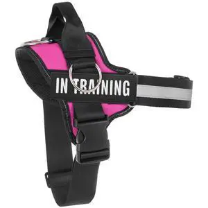 Essential Dog Harness, No Pull Pet Harness with 3 Side Rings for Leash Placement, No Choke, Reflective, Adjustable Pet Vest, Easy On-Off & Improved Control Handle, Training, Walking, Running Essential Dog Harness, No Pull Pet Harness with 3 Side Rings for Leash Placement, No Choke, Reflective, Adjustable Pet Vest, Easy On-Off & Improved Control Handle, Training, Walking, Running