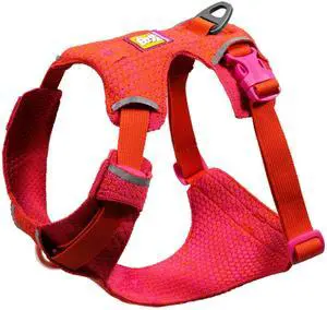 Front Range Flex Dog Harness, Engineered Knit Construction for Ultimate Fit and Mobility, Lightweight Flexible Everyday Harness with Dual Leash Clips, Rose Violet, Medium Front Range Flex Dog Harness, Engineered Knit Construction for Ultimate Fit and Mobility, Lightweight Flexible Everyday Harness with Dual Leash Clips, Rose Violet, Medium