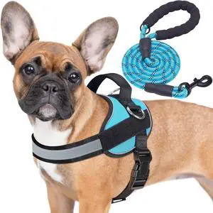 Essential Dog Harness, No Pull Pet Vest with 3 Leash Clips, No Choke, Reflective, Adjustable and Padded, for Easy Walking and Training for Medium Dogs(M, Blue) Essential Dog Harness, No Pull Pet Vest with 3 Leash Clips, No Choke, Reflective, Adjustable and Padded, for Easy Walking and Training for Medium Dogs(M, Blue)