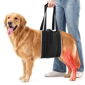Dog Lift Harness for Rear Legs, Adjustable Dog Support Harness for Large Dogs, Soft Hip Sling for Senior, Disabled & Injured Dogs, Hind Leg Mobility Aid After ACL CCL TPLO Surgery Dog Lift Harness for Rear Legs, Adjustable Dog Support Harness for Large Dogs, Soft Hip Sling for Senior, Disabled & Injured Dogs, Hind Leg Mobility Aid After ACL CCL TPLO Surgery