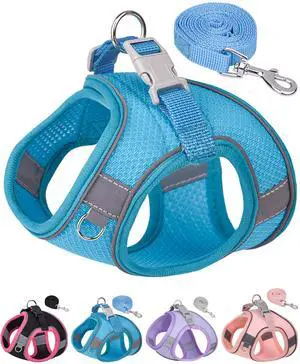 Dog Harness for Small Medium Sized Dog, Step in Puppy Harness and Leash Set Training Walking. (Blue, XXS) Dog Harness for Small Medium Sized Dog, Step in Puppy Harness and Leash Set Training Walking. (Blue, XXS)