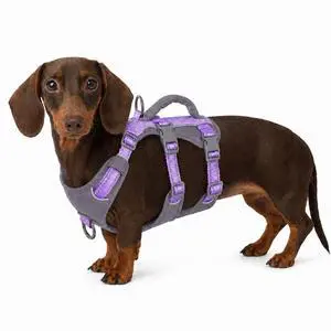 Escape Proof Dog Harness,Dachshund Harness, No Escape, Breathable, Reflective, Adjustable Lift Harness with Handle for Small, Medium, and Large Dogs Walking, Training (Lavender Purple,XS) Escape Proof Dog Harness,Dachshund Harness, No Escape, Breathable, Reflective, Adjustable Lift Harness with Handle for Small, Medium, and Large Dogs Walking, Training (Lavender Purple,XS)