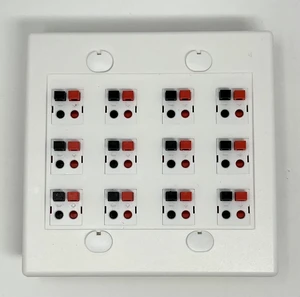 12 Port Speaker Jack Dual Gang Wall Plate for Home Theater - White 12 Port Speaker Jack Dual Gang Wall Plate for Home Theater - White