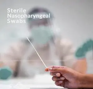 Sterile Nasopharyngeal Swabs - 50 Packs of 100 (5000) Flocked Nasal Swabs for Sampling, 80 mm Break Point, Nylon Flocking Tip White Sterile Nasopharyngeal Swabs - 50 Packs of 100 (5000) Flocked Nasal Swabs for Sampling, 80 mm Break Point, Nylon Flocking Tip White