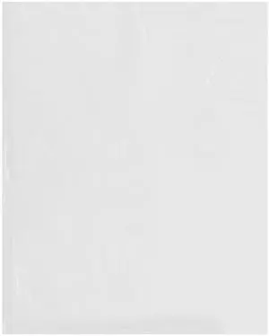 16" x 20" (Case of 1,000), 2 Mil Flat Open Clear Plastic Poly Bags 16" x 20" (Case of 1,000), 2 Mil Flat Open Clear Plastic Poly Bags