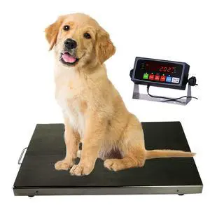 700lbs Vet Animal Scale/Livestock Scale, Digital Weighing Equipment for Small to Medium Sized Animals Calf/Goat/Sheep/Pigs/Dogs/Cat or Pets (38"x20"x2") 700lbs Vet Animal Scale/Livestock Scale, Digital Weighing Equipment for Small to Medium Sized Animals Calf/Goat/Sheep/Pigs/Dogs/Cat or Pets (38"x20"x2")