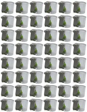 X-Large Bottle Lox for Patron & 1800 Bottles (Pack of 48) Durable Anti-Theft Locks for Liquor & Beverage Bottles (Magnet Not Included) X-Large Bottle Lox for Patron & 1800 Bottles (Pack of 48) Durable Anti-Theft Locks for Liquor & Beverage Bottles (Magnet Not Included)