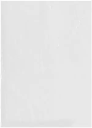 13" x 18" (Pack of 500), 2 Mil Flat Open Clear Plastic Poly Bags 13" x 18" (Pack of 500), 2 Mil Flat Open Clear Plastic Poly Bags