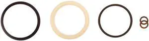 SPX Power Team 300147 Nitrile Seal Kit for C251C, C252C, C254C, C256C, C258C, C2510C, C2512C and C2514C Cylinders SPX Power Team 300147 Nitrile Seal Kit for C251C, C252C, C254C, C256C, C258C, C2510C, C2512C and C2514C Cylinders