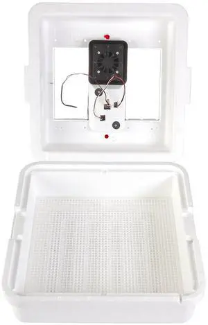 ® Digital Circulated Air Incubator | 41 Egg Capacity | Chick Egg Hatching Incubator with Circulated Fan, Temperature and Humidity Control | Made in USA ® Digital Circulated Air Incubator | 41 Egg Capacity | Chick Egg Hatching Incubator with Circulated Fan, Temperature and Humidity Control | Made in USA