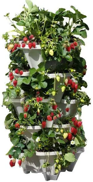 5 Tiered Vertical Gardening Planter, Indoor & Outdoor 5 Tiered Vertical Gardening Planter, Indoor & Outdoor