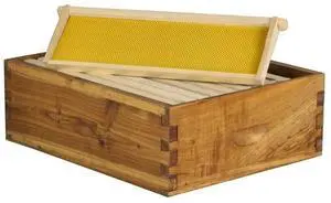 10-Frame Medium Super Box Wax-Dipped Fir Wood Langstroth Honey Super with Dovetail Joints Ready to Use, Durable & Weather-Resistant (1) 10-Frame Medium Super Box Wax-Dipped Fir Wood Langstroth Honey Super with Dovetail Joints Ready to Use, Durable & Weather-Resistant (1)