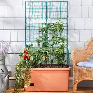 Vegetable Planter with Wheels and Trellis - 58 Inch Self Watering Vegetable Planter with Wheels and Trellis - 58 Inch Self Watering