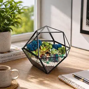 DIY 7" Geometric Terrarium Kit - Build Your Own Glass Terrarium for Adults & Teens with Moss, Crystals, Tools & Decor - Handcrafted in the USA (Live Plant Included) DIY 7" Geometric Terrarium Kit - Build Your Own Glass Terrarium for Adults & Teens with Moss, Crystals, Tools & Decor - Handcrafted in the USA (Live Plant Included)