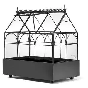 Glass Terrarium Wardian Case, with Hinged Roof 10.5" Tall | Indoor Tabletop Planter, Metal Base, For Succulents, Ferns, and Moss Glass Terrarium Wardian Case, with Hinged Roof 10.5" Tall | Indoor Tabletop Planter, Metal Base, For Succulents, Ferns, and Moss