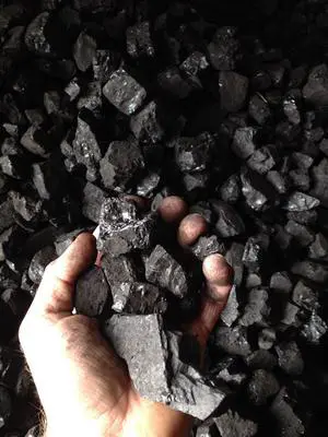 Bituminous Coal 50lbs Bituminous Coal 50lbs