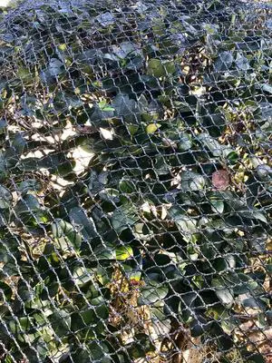 Direct Commercial Grade Heavy Duty Polyethylene Anti Bird Netting for Garden Blueberries Fruit Trees Poultry Cage Pond Net Reusable Does not Tangle Snag or Rot (20 ft x 33 ft) Direct Commercial Grade Heavy Duty Polyethylene Anti Bird Netting for Garden Blueberries Fruit Trees Poultry Cage Pond Net Reusable Does not Tangle Snag or Rot (20 ft x 33 ft)