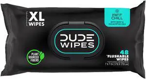 Mint Chill Flushable Wipes - Extra-Large Adult Wet Wipes - 1 Pack (48 Count), Travel Pack - Infused with Tea Tree Oil, Vitamin E, and Aloe - Septic and Sewer Safe Mint Chill Flushable Wipes - Extra-Large Adult Wet Wipes - 1 Pack (48 Count), Travel Pack - Infused with Tea Tree Oil, Vitamin E, and Aloe - Septic and Sewer Safe