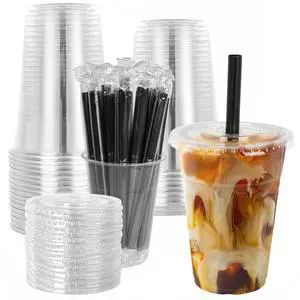 16oz Disposable Clear Plastic Cups with Lids and Smoothies Straws Party Drinking Cups for Milkshakes,Cold Coffee-25 Sets 16oz Disposable Clear Plastic Cups with Lids and Smoothies Straws Party Drinking Cups for Milkshakes,Cold Coffee-25 Sets