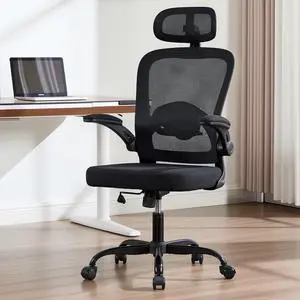 Ergonomic Office Chair with 3D Adjustable Lumbar Support, Mesh High Back, 75° Rotating Headrest, Rocking Function, 300lbs Capacity, Black/White (Black) Ergonomic Office Chair with 3D Adjustable Lumbar Support, Mesh High Back, 75° Rotating Headrest, Rocking Function, 300lbs Capacity, Black/White (Black)