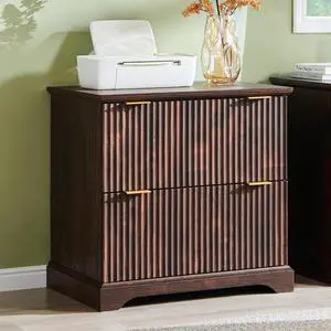 30"File Cabinet w/Charging Station, w/Files Hanging Rod for Letter/Legal/A4 | 30" Fluted Lateral File Cabinet, Large Tabletop for Printer, Office Wood Printer Cabinets, Dark Walnut 30"File Cabinet w/Charging Station, w/Files Hanging Rod for Letter/Legal/A4 | 30" Fluted Lateral File Cabinet, Large Tabletop for Printer, Office Wood Printer Cabinets, Dark Walnut
