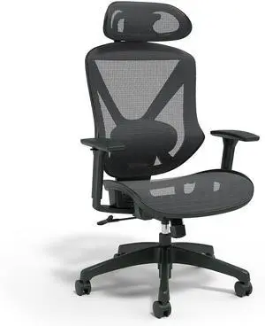 Dexley Ergonomic Mesh Office Chair - Adjustable Height, Swivel Tilt, Lumbar Support, Black Dexley Ergonomic Mesh Office Chair - Adjustable Height, Swivel Tilt, Lumbar Support, Black