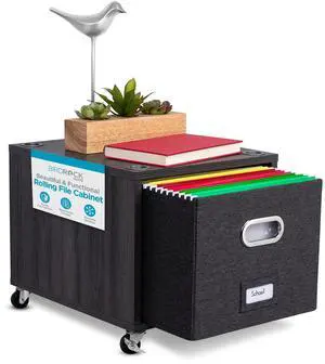 Rolling File Cabinet Decorative Storage Shelf w/Removable Bins, Handles, and Wheels Organize Files, Books, Toys, Under Desk Office Solution, Modern Design - 1 Lateral Drawer, Gray Rolling File Cabinet Decorative Storage Shelf w/Removable Bins, Handles, and Wheels Organize Files, Books, Toys, Under Desk Office Solution, Modern Design - 1 Lateral Drawer, Gray