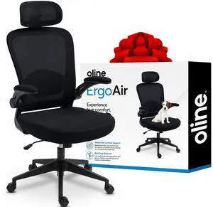 ErgoAir Ergonomic Office Chair Adjustable Lumbar Support, Flip-Up Armrests, Mesh Computer Desk Chair, Swivel Rolling Executive Gaming Chair for Home & Office (Black) ErgoAir Ergonomic Office Chair Adjustable Lumbar Support, Flip-Up Armrests, Mesh Computer Desk Chair, Swivel Rolling Executive Gaming Chair for Home & Office (Black)