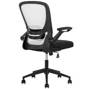 Office Chair Desk Computer Chair with Lumbar Support Flip-up Arms Swivel Rolling Executive Task Mesh Adjustable Ergonomic for Adults(White) Office Chair Desk Computer Chair with Lumbar Support Flip-up Arms Swivel Rolling Executive Task Mesh Adjustable Ergonomic for Adults(White)
