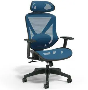 Ergonomic Task Chair, Mesh, Ergonomic, Lumbar Support, Blue Ergonomic Task Chair, Mesh, Ergonomic, Lumbar Support, Blue