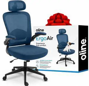 ErgoAir Ergonomic Office Chair Adjustable Lumbar Support, Flip-Up Armrests, Mesh Computer Desk Chair, Swivel Rolling Executive Gaming Chair for Home & Office (Navy Blue) ErgoAir Ergonomic Office Chair Adjustable Lumbar Support, Flip-Up Armrests, Mesh Computer Desk Chair, Swivel Rolling Executive Gaming Chair for Home & Office (Navy Blue)