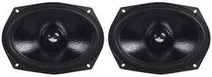 RVL69W 300-Watt Peak/150-Watt RMS 6x9 in 4-Ohm Cast Aluminum Car Subwoofer, Double 60oz Magnet, 2-Inch Voice Coil, for Competition Mid-Bass, 2-Piece RVL69W 300-Watt Peak/150-Watt RMS 6x9 in 4-Ohm Cast Aluminum Car Subwoofer, Double 60oz Magnet, 2-Inch Voice Coil, for Competition Mid-Bass, 2-Piece