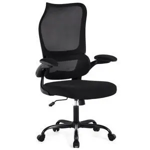 Ergonomic Office Chair, High Back Breathable Mesh Computer Desk Chair with Adjustable Lumbar Support and Flip-Up Armrests, 300LB Capacity Executive Swivel Task Gaming Seat for Home and Office (Black) Ergonomic Office Chair, High Back Breathable Mesh Computer Desk Chair with Adjustable Lumbar Support and Flip-Up Armrests, 300LB Capacity Executive Swivel Task Gaming Seat for Home and Office (Black)