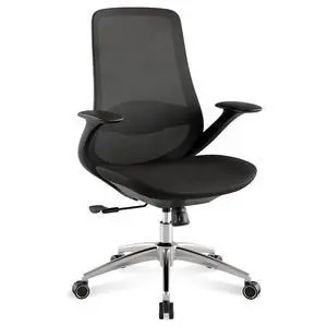 BV Ergonomic Office Chair, High Back Executive Desk Chair with 2D Armrests,Adjustable Lumbar Support, Breathable Mesh Computer Chair for Home Office & Gaming,Black BV Ergonomic Office Chair, High Back Executive Desk Chair with 2D Armrests,Adjustable Lumbar Support, Breathable Mesh Computer Chair for Home Office & Gaming,Black
