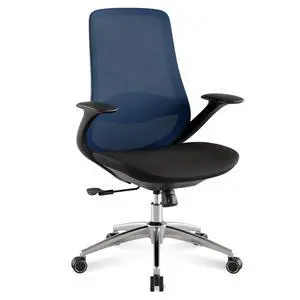 BV Ergonomic Office Chair, High Back Executive Desk Chair with 2D Armrests,Adjustable Lumbar Support, Breathable Mesh Computer Chair for Home Office & Gaming,Blue BV Ergonomic Office Chair, High Back Executive Desk Chair with 2D Armrests,Adjustable Lumbar Support, Breathable Mesh Computer Chair for Home Office & Gaming,Blue