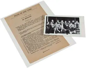 3 mil Archival Polyester L-Sleeves for Photos & Documents (100-Pack) - 9 x 14" 3 mil Archival Polyester L-Sleeves for Photos & Documents (100-Pack) - 9 x 14"