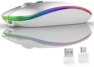 LED Wireless Mouse, G12 Slim Rechargeable Silent Mouse, 2.4G Portable USB Optical Wireless Computer Mice with USB Receiver and Type C Adapter (Silver) LED Wireless Mouse, G12 Slim Rechargeable Silent Mouse, 2.4G Portable USB Optical Wireless Computer Mice with USB Receiver and Type C Adapter (Silver)