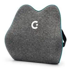Cushii V2 Back Support Cushion for Back and Lower Back Pain Relief Universal Fit for Desk, Office, Kitchen Chairs, Couch Cushions with Advanced Lumbar Support Cushii V2 Back Support Cushion for Back and Lower Back Pain Relief Universal Fit for Desk, Office, Kitchen Chairs, Couch Cushions with Advanced Lumbar Support