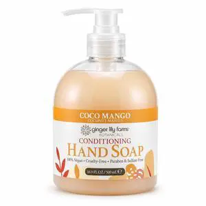 Botanicals Hand Soap, 16.9oz, Coco Mango | 100% Vegan & Cruelty-Free | Conditioning Liquid Hand Wash for All Skin Types Botanicals Hand Soap, 16.9oz, Coco Mango | 100% Vegan & Cruelty-Free | Conditioning Liquid Hand Wash for All Skin Types