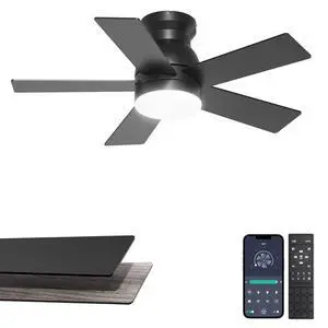 32'' Small Ceiling Fan with Light, Mini Low Profile Flush Mount Fan for Hallway & Closet, Quiet DC Motor, Modern Tiny Space Ceiling Fan with App/Remote Control, Black 32'' Small Ceiling Fan with Light, Mini Low Profile Flush Mount Fan for Hallway & Closet, Quiet DC Motor, Modern Tiny Space Ceiling Fan with App/Remote Control, Black