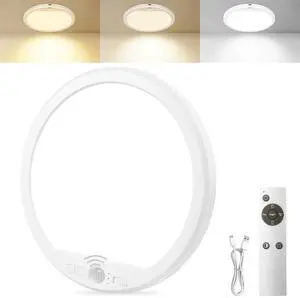 Rechargeable Motion Sensor Ceiling Light with Remote Rechargeable Motion Sensor Ceiling Light with Remote