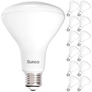 12 Pack BR30 LED Flood Light Bulb, E26, 11W=65W, 3000K Warm White 12 Pack BR30 LED Flood Light Bulb, E26, 11W=65W, 3000K Warm White