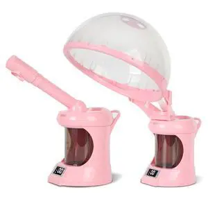 2 in 1 Hair Steamer, Hair Facial Steamer 2 in 1 Hair Steamer, Hair Facial Steamer