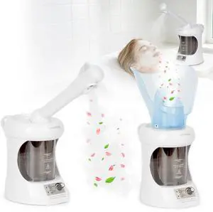 2 in 1 Nasal Steamer, Nano Ionic Facial Steamer with Extendable Arm, White 2 in 1 Nasal Steamer, Nano Ionic Facial Steamer with Extendable Arm, White