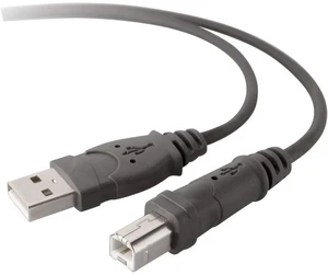 Premium Printer Cables Cable10 Ft4 Pin USB Type B to 4 Pin USB Type A, Black (F3U154BT3M) Premium Printer Cables Cable10 Ft4 Pin USB Type B to 4 Pin USB Type A, Black (F3U154BT3M)