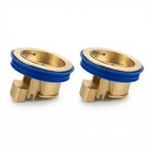 2 Pcs Basement Floor Drain Backflow Preventer Stopper Shower Plug for Brass One Way Valve Anti Odor Shower Drain Plug Drop in Floor Drain Suit 1.28-2.08 Inch Caliber 2 Pcs Basement Floor Drain Backflow Preventer Stopper Shower Plug for Brass One Way Valve Anti Odor Shower Drain Plug Drop in Floor Drain Suit 1.28-2.08 Inch Caliber