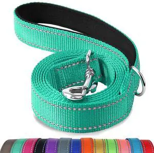 Reflective Dog Leash for Medium & Large Dogs, 6 FT x 1", Turquoise Reflective Dog Leash for Medium & Large Dogs, 6 FT x 1", Turquoise
